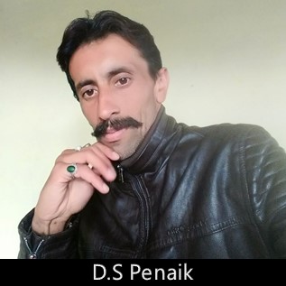 DS Penaik